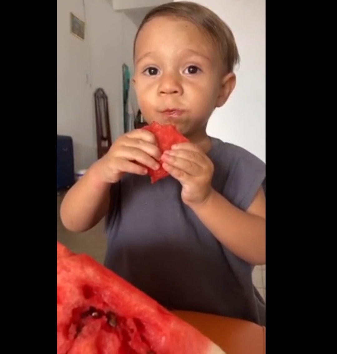 <p>A melancia está entre as frutas preferidas das crianças por ter sabor naturalmente doce, textura macia e ser fácil de mastigar. Além disso, é refrescante, colorida e ajuda na hidratação, fatores que aumentam a aceitação entre os pequenos.</p><?php if (strpos(site('ds_site_link'), '/apostas') === false): ?>
    </div>

    <div class=