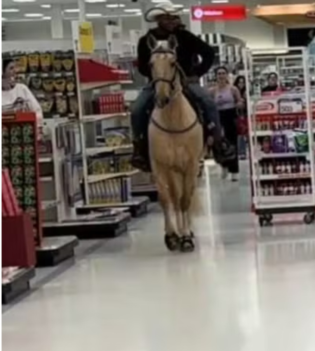 <p>Um homem entrou montado em um cavalo dentro de uma loja nos Estados Unidos, em um episódio registrado em vídeo e amplamente compartilhado nas redes sociais. A cena inusitada chamou atenção pelo uso de um animal em um ambiente fechado e comercial.</p>
