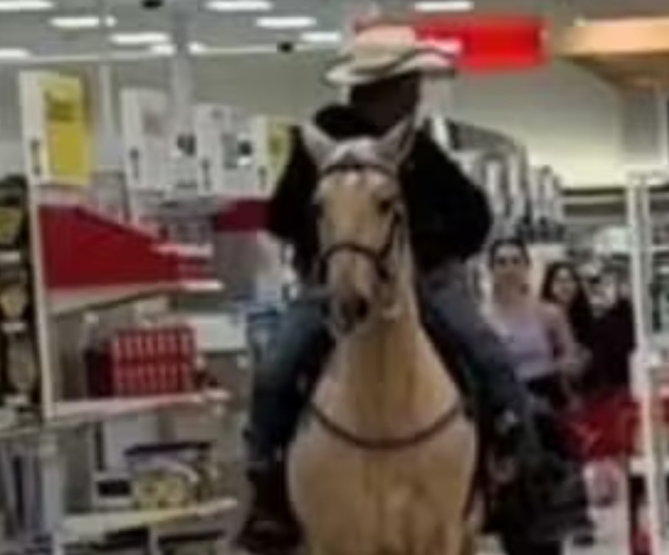 <p>A atitude gerou indignação entre internautas, que criticaram a falta de respeito com o espaço e com os funcionários do local. Muitos questionaram quem ficaria responsável pela limpeza do “rastro” deixado pelo animal e apontaram o episódio como desnecessário e inadequado.</p></div>

<!-- INTERBANNER 5 [RETANGULO(BR)] - DESKTOP - [INTERNAS] -->
<div class=