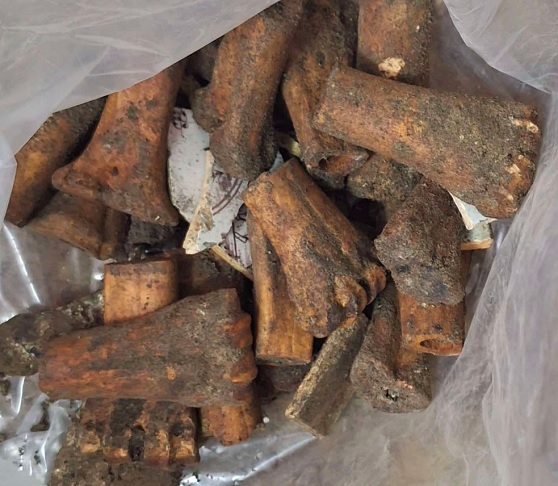 <p>Apesar de o prédio atual ter sido construído em 1609, o piso feito de ossos, datado do século 15, sugere uma história mais antiga e misteriosa para o local.</p><?php if (strpos(site('ds_site_link'), '/apostas') === false): ?>

    </div>

    <div class=