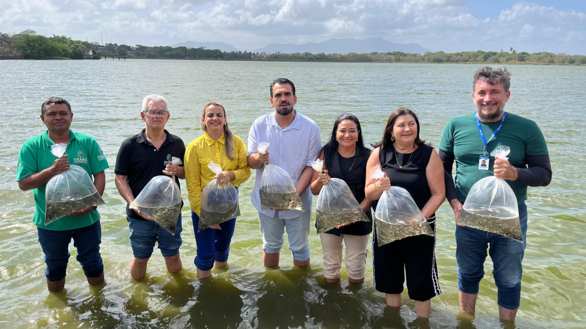 Cerca de 100 mil peixes foram soltos em lagoas e açudes de Caucaia