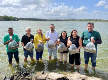 Cerca de 100 mil peixes foram soltos em lagoas e açudes de Caucaia 
