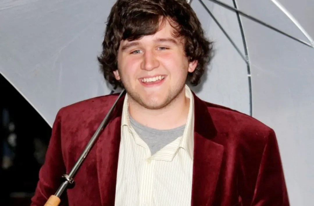 <p>Mas na vida real, Harry Melling é completamente diferente de Duda. Gentil, reservado e talentoso, ele conseguiu se distanciar da sombra do personagem e construir uma carreira que poucos atores da saga conseguiram igualar.</p><?php if (strpos(site('ds_site_link'), '/apostas') === false): ?>
    </div>

    <div class=