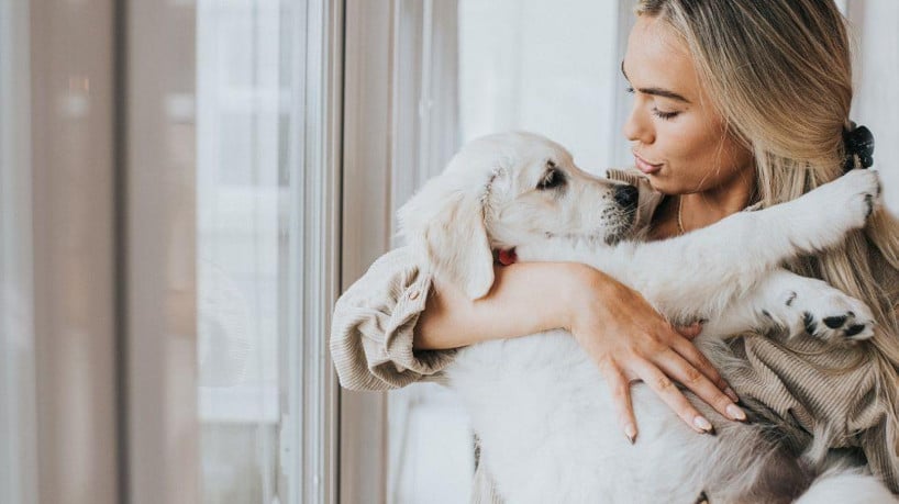 Carinho e banhos, companhia e atividades: o que fa...