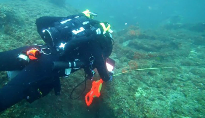 <p>A descoberta foi feita por biólogos marinhos e anunciada no Science Channel. Um dos pesquisadores declarou que a primeira parte do trabalho, analisando registros em bibliotecas, foi demorada, mas fundamental para informações que comprovassem o achado.</p>
