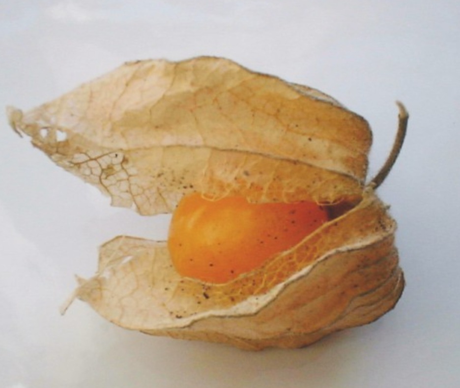 <p>Fruta pequena e redonda, de 1 a 2 cm, cor alaranjada ou amarela, é envolta em uma casca bem fina de cor bege claro. Tem sabor agridoce, ligeiramente ácido, lembrando uma combinação de abacaxi, morango e tomate. A textura é suculenta, com sementes pequenas e crocantes no interior.</p>
