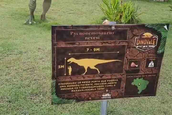 <p>As réplicas também têm um forte apelo pedagógico, ao tentar educar o público, especialmente crianças, sobre a história desses animais.</p>
