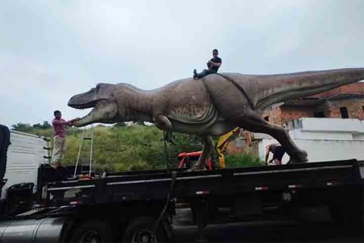 <p>Além disso, no município também tem o Irritator Challengeri. Dinossauro de porte médio do período Cretáceo inferior, há 110 milhões de anos, na Chapada do Araripe (CE) ou o Pterossauro Tropeognathus, também do período Cretáceo.</p>
