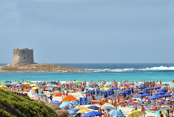 <p>Para conhecer o local, é necessário fazer reserva com antecipação de maneira remota. Em seguida, o visitante receberá o QR Code que lhe concederá acesso à praia. Um bar oferece diariamente o aluguel de espreguiçadeiras para ajudar a relaxar e aproveitar o sol.</p>
