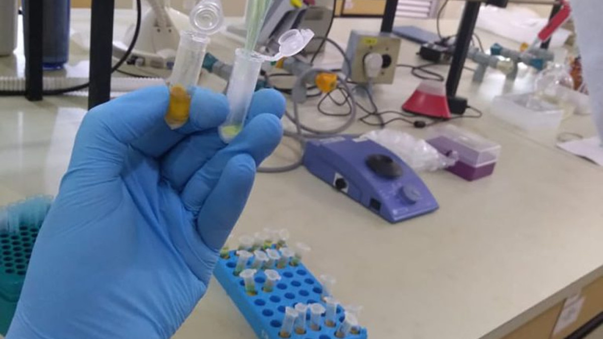 Entre as instituições públicas, a que produziu o maior número de pedidos de patentes do tipo foi a Embrapa, com 34 projetos apresentadas