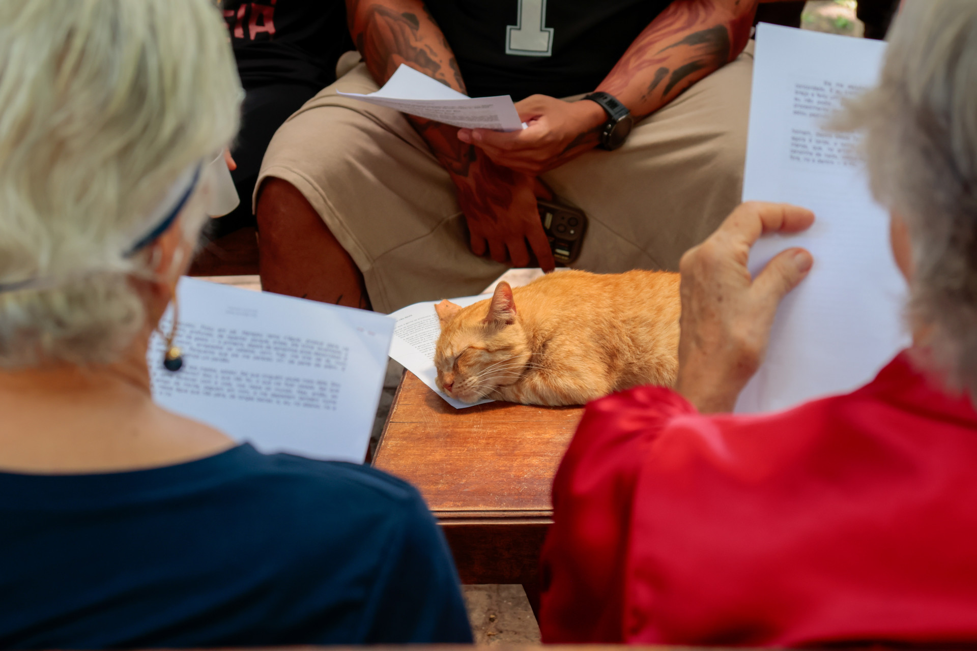 Encontro do projeto 'Leituras na Praça', no Parque do Cocó, aconteceu na manhã deste domingo, 25