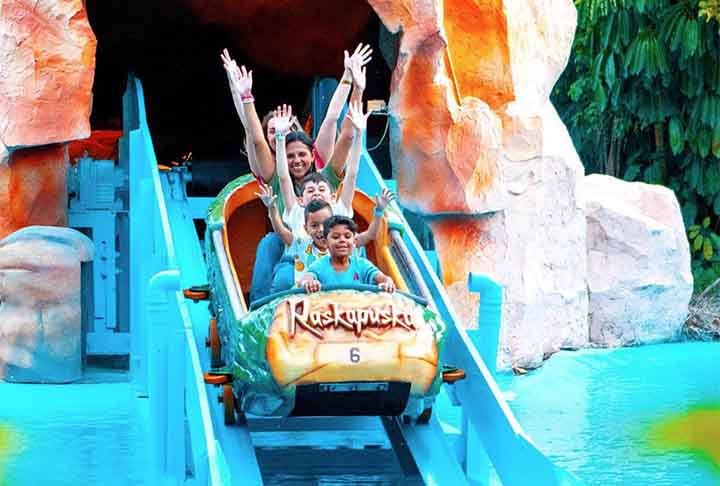 <p>Beto Carrero World foi inaugurado no dia 28 de dezembro de 1991, pelo seu idealizador João Batista Sérgio Murad, que morreu em 2008, vítima de uma endocardite.</p>
