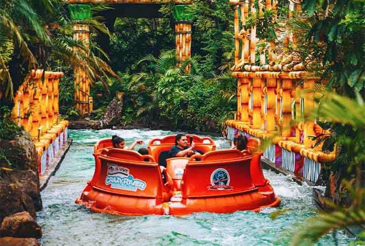 <p>Por meio de nota oficial, a administração agradeceu aos visitantes pelas avaliações, assim como destacou que o reconhecimento é fruto do trabalho das equipes e da experiência oferecida ao público.</p><?php if (strpos(site('ds_site_link'), '/apostas') === false): ?>
  </div>

  <div data-type=