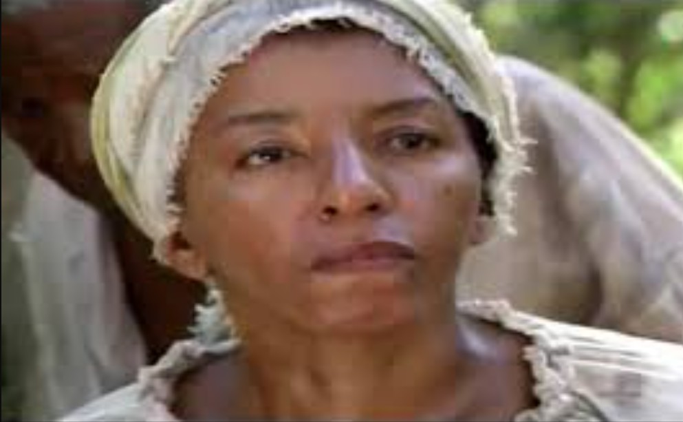 <p><span style=font-weight: 400;>Além disso, participou da telenovela “Xica da Silva”, na qual interpretou a líder quilombola Severina. </span></p>
