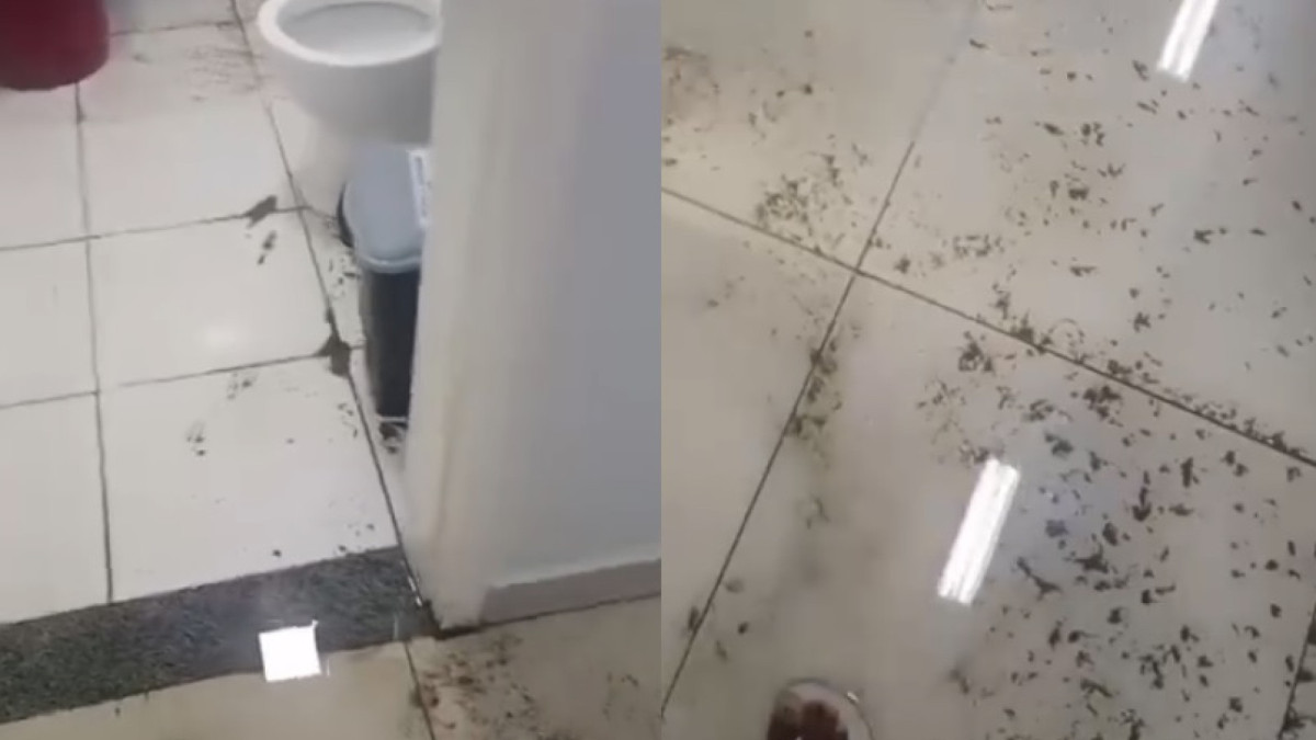 Ocorrência teria sido registrada por volta das 8h desta terça-feira, 27