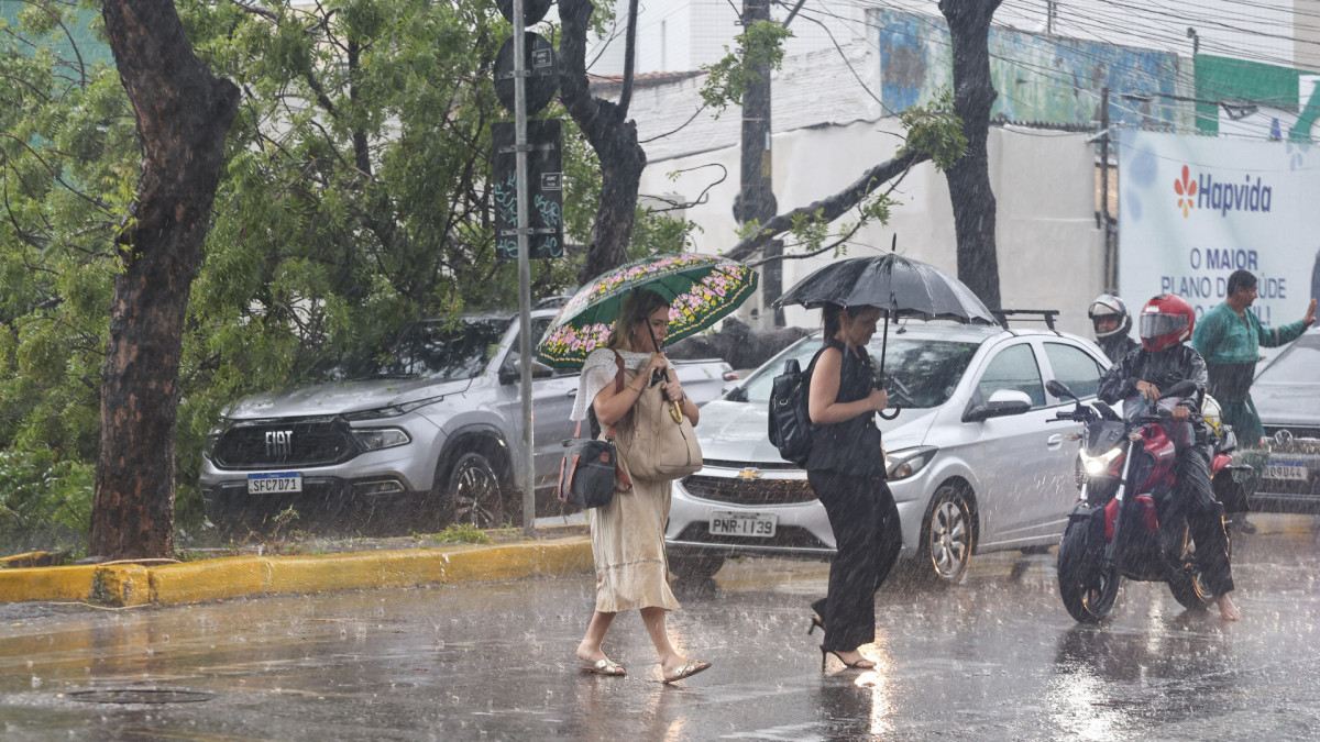 Queda de &aacute;rvore foi registrada na avenida Her&aacute;clito Gra&ccedil;a durante chuvas fortes em Fortaleza, na ter&ccedil;a-feira, 27