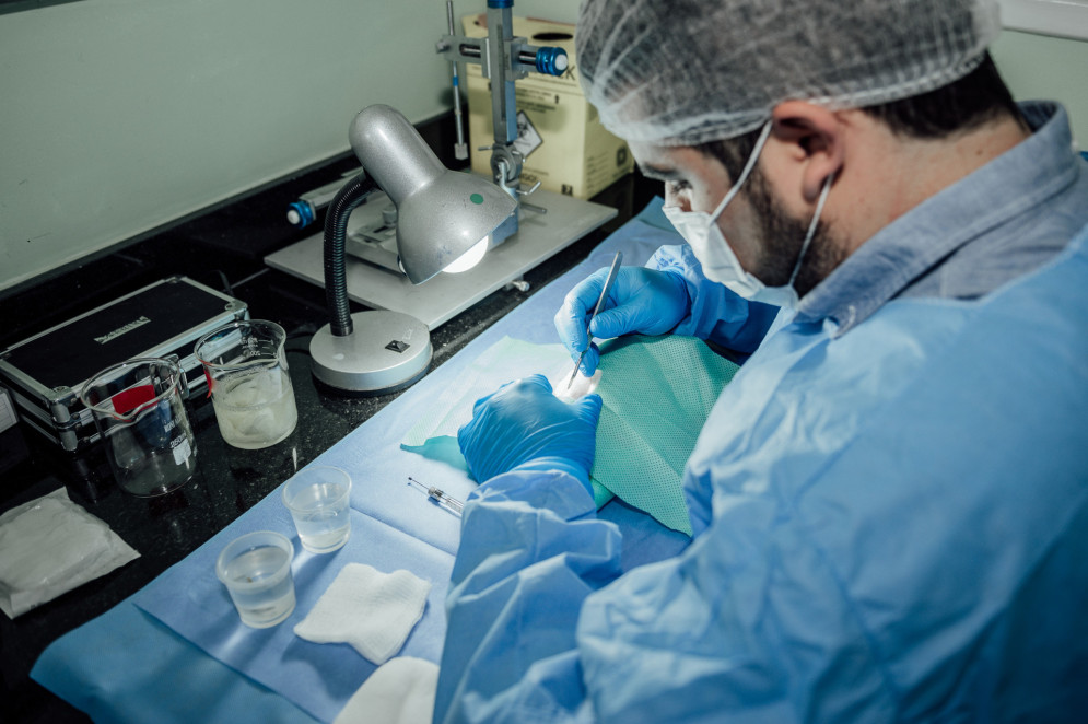 Pesquisa com polilaminina avan&ccedil;ou de fase no &uacute;ltimo dia 5 de janeiro, com autoriza&ccedil;&atilde;o da Anvisa(Foto: Luciana Sposito)