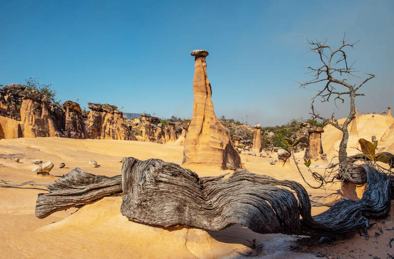 Imagens das chaminés foram captadas por drones e câmeras de alta resolução, revelando detalhes impressionantes das estruturas. As fotos mostram colunas isoladas em meio à vegetação do cerrado, com sombras que acentuam sua verticalidade e beleza.
