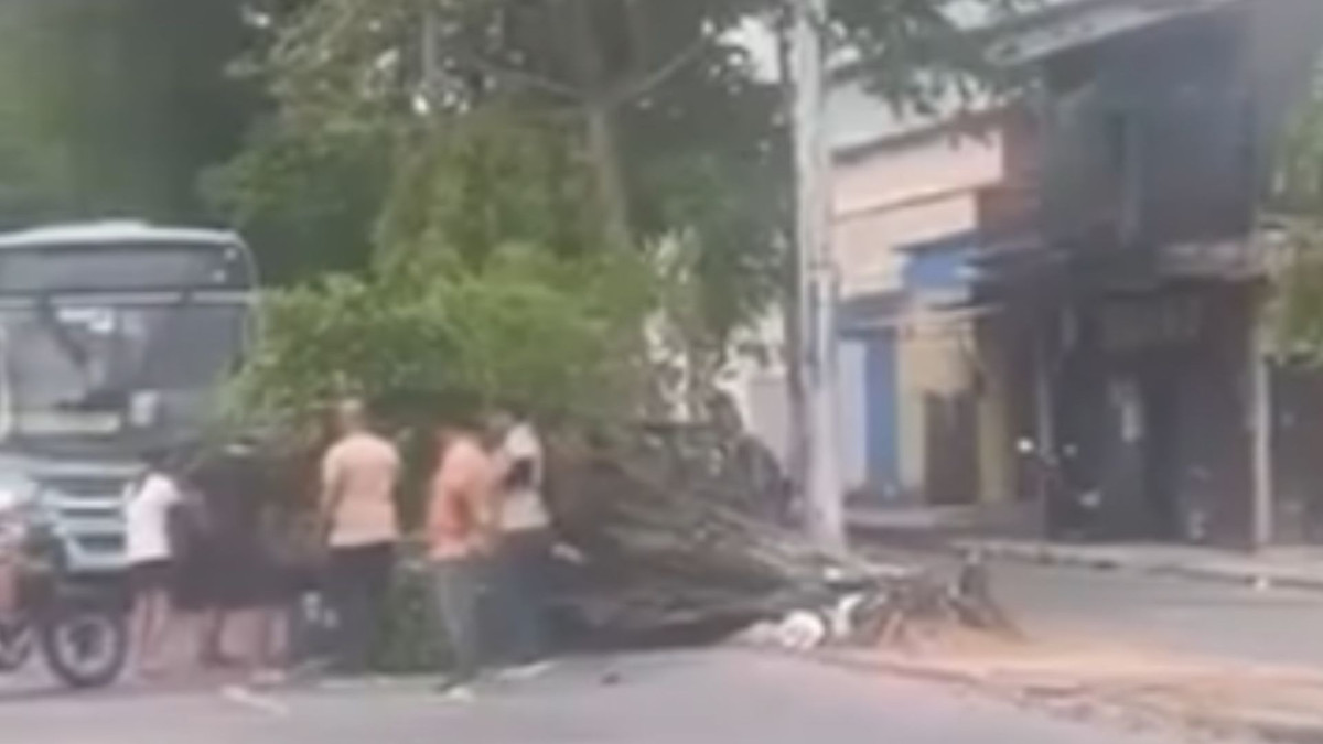 Árvore cai em cima de motociclista na avenida I, no bairro Conjunto Ceará, em Fortaleza, nesta sexta-feira, 30