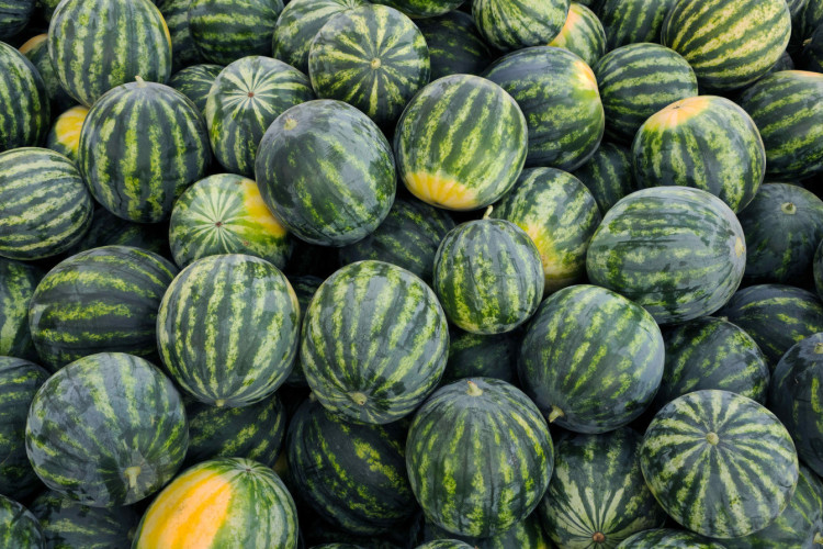 Itaueira &eacute; licenciada para vender a melancia da Magali