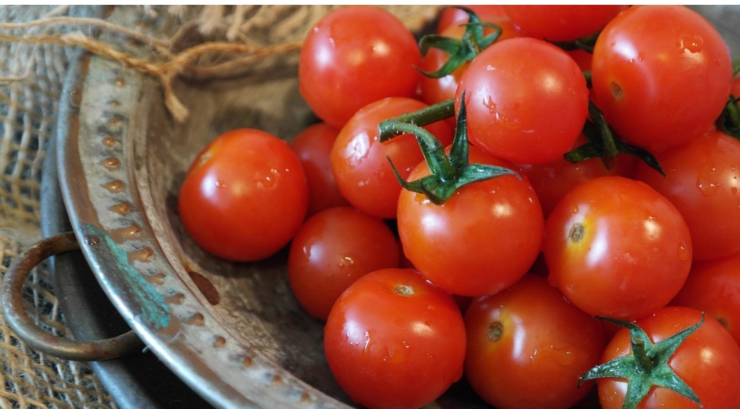 <p>Seja em sua forma bruta ou transformado em molhos, sucos e ketchups, o tomate é um alimento versátil, presente em diversas culinárias pelo mundo, sobretudo a brasileira e italiana. Rico em nutrientes e funcional, este fruto traz benefícios importantes à saúde. Confira!</p>
