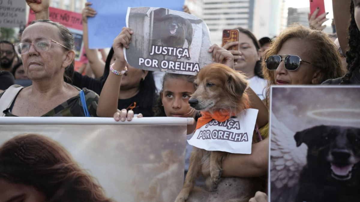 Manifestantes se reúnem no Aterro da Praia de Iracema para cobrar justiça pela morte do cão Orelha