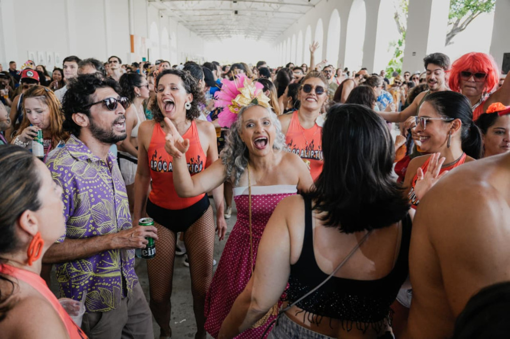 Com a festa come&ccedil;ando &agrave;s 10h, o p&uacute;blico aproveitou o som de DJs, oficinas e o show do Iracema Bode Beat(Foto: FERNANDA BARROS)