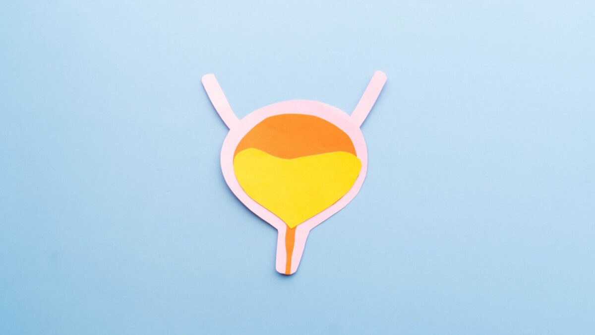 Cistite na menopausa: entenda condição que fez Solange Couto passar mal no BBB 26