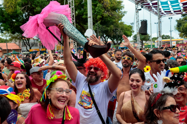 Elemento surpresa em "O Agente Secreto", Perna Cabeluda ganhou vida nas celebra&ccedil;&otilde;es carnavalescas do Benfica(Foto: Samuel Setubal)