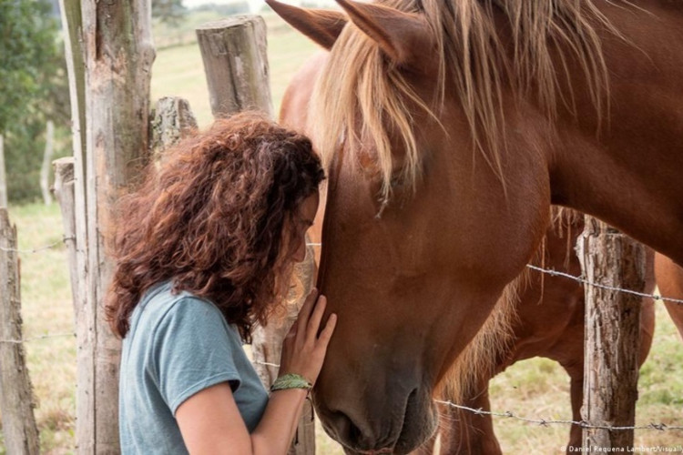 Devido &agrave; sua sensibilidade, os cavalos v&ecirc;m sendo utilizados em terapias e no desenvolvimento de habilidades sociais dos humanos