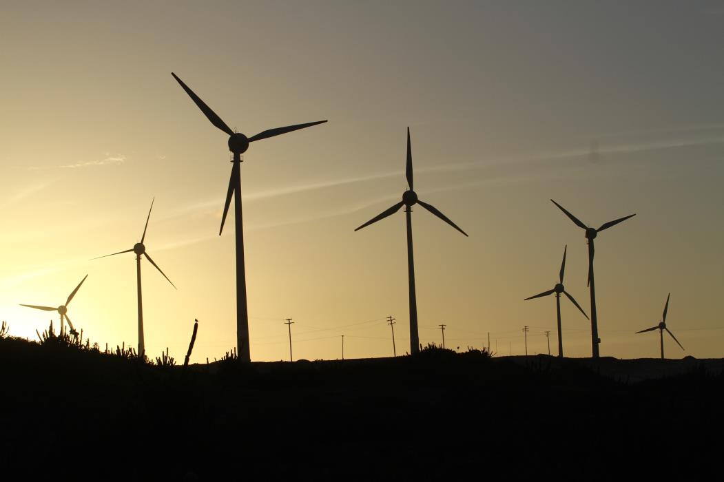 Energia eólica no Ceará (Foto: FÁBIO LIMA)