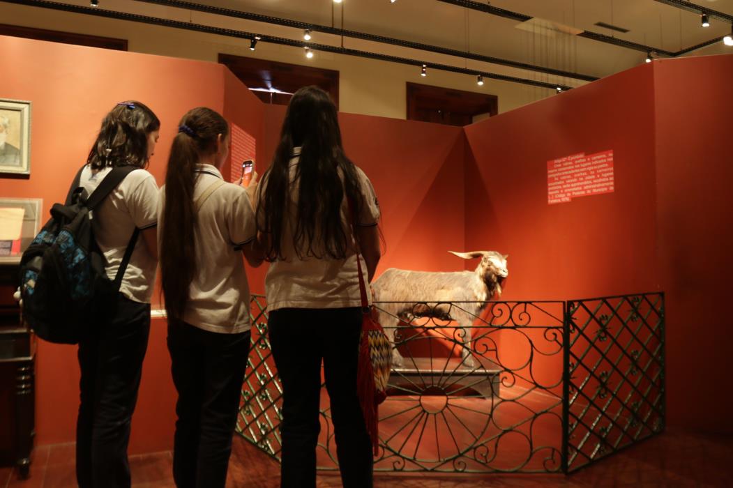 Bode Ioiô chama atenção de visitantes no Museu do Ceará, em foto de 2015. Museu está atualmente fechado para ser reformado(Foto: Chico Alencar, em 21/10/2015)