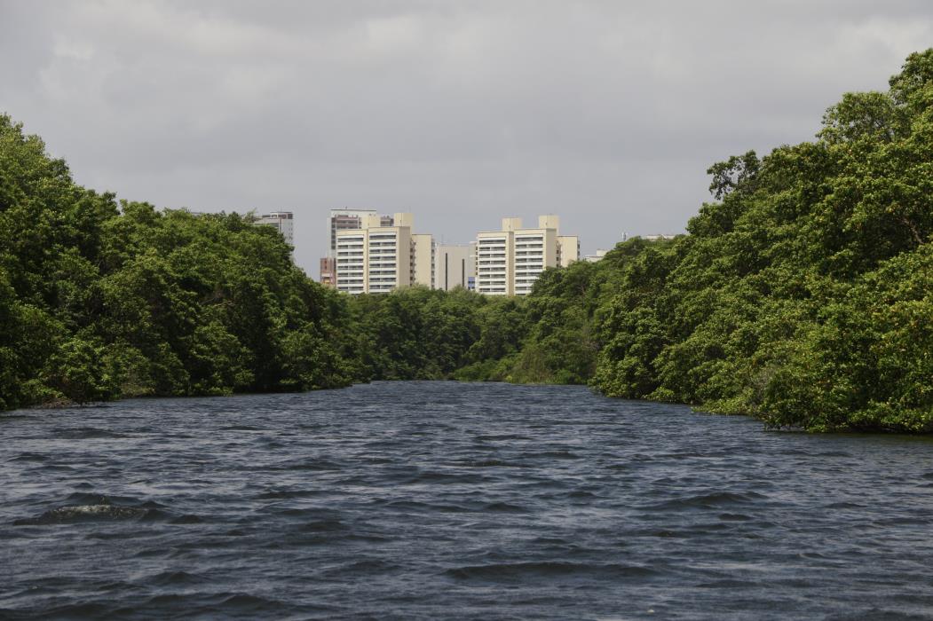 Vista do rio Cocó e mangue (vegetação), ao fundo prédios. Passeio de barco pelo rio Cocó, entre as pontes da Sabiaguaba e da avenida Washington Soares(Foto: FCO FONTENELE)