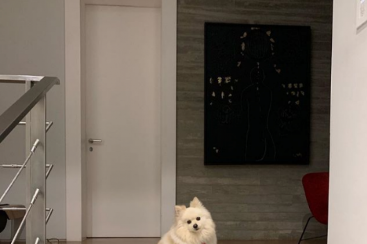 Veruska Seibel publicou a foto em seu perfil do Instagram (FOTO: Reprodução)