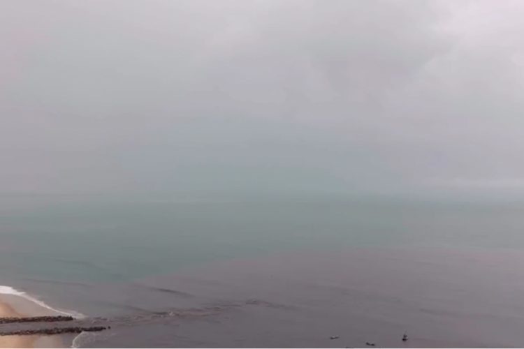 Nas imagens, &eacute; poss&iacute;vel ver o momento em que a mancha escura avan&ccedil;a no mar (Luciana Otoch/Reprodu&ccedil;&atilde;o)