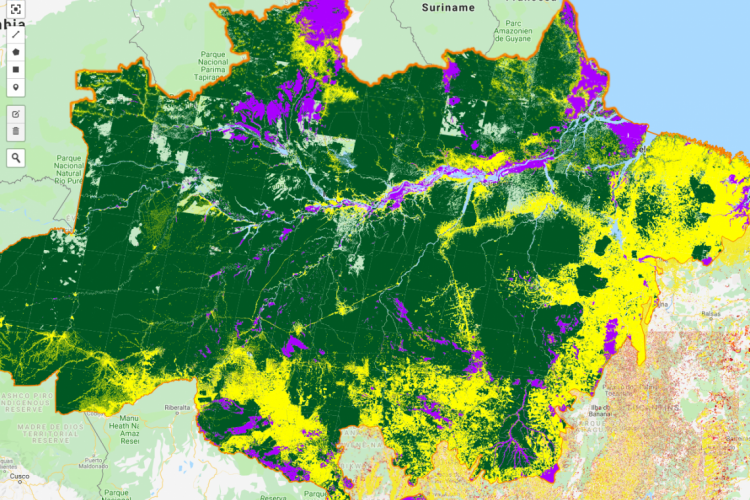 Site do Inpe com visualização do desmatamento acumulado (em cor amarelo) na Amazônia.(foto: Di...