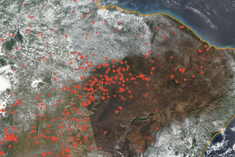 Até o momento, 586 focos foram anotados em 2019 (foto: Reprodução / Inpe)