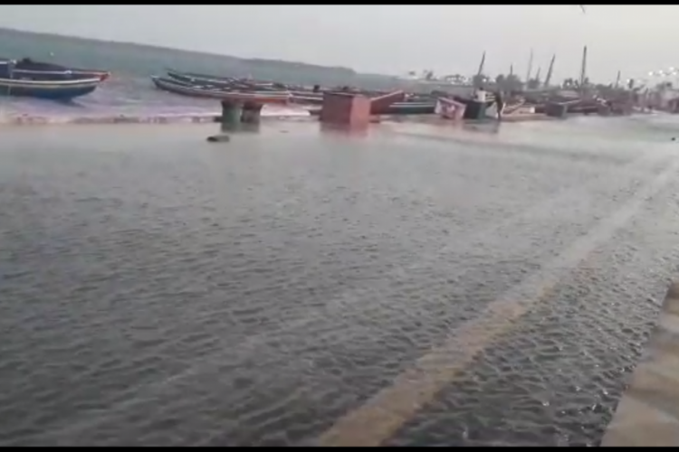 Relatos dão conta de que fenômeno já seria natural na Cidade, durante esta época do ano. Onda...