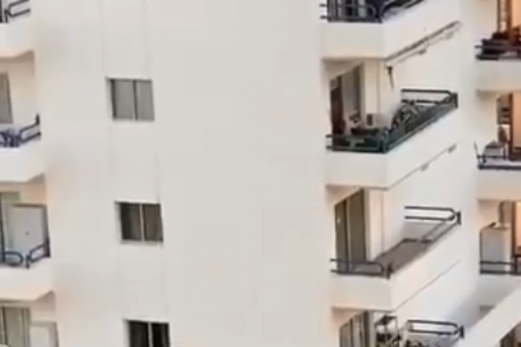 O vídeo foi gravado por um vizinho que acompanhou a ação da menina
