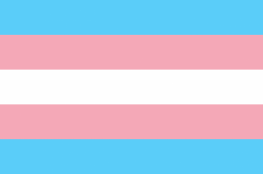 Bandeira do Orgulho Trans