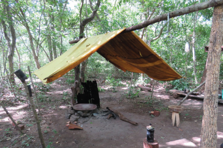 MPT recebe mais de 6 mil denúncias de escravidão e tráfico de pessoas