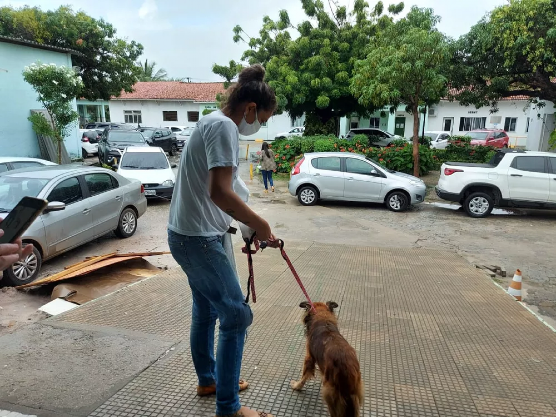 Ap&oacute;s ser resgatado, o animal permanecer&aacute; em um lar tempor&aacute;rio