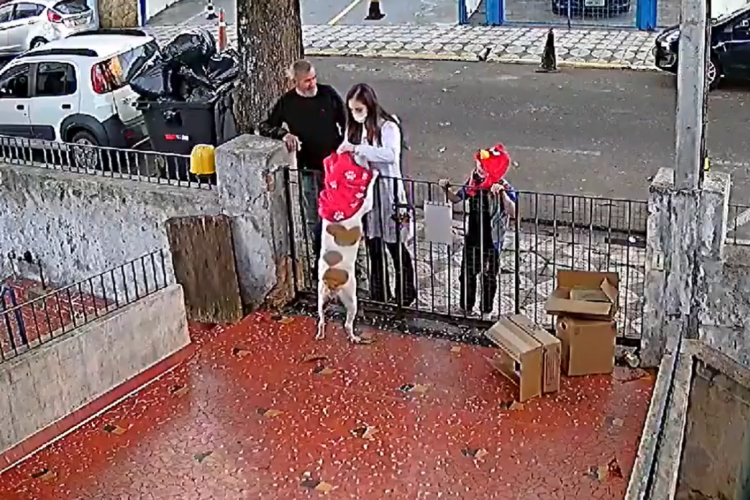 Nina ganhou roupa nova de presente de veterinária