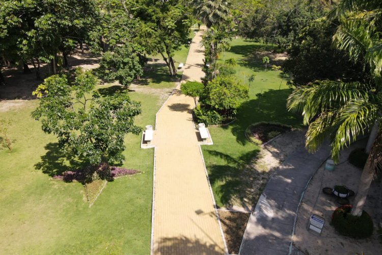 O Parque Passar&eacute;, em Fortaleza, abriga a lagoa do Passar&eacute;, o Zool&oacute;gico Municipal Sargento Prata e o Horto Florestal Municipal Falconete Fialho