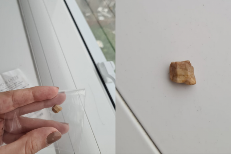 Cliente diz ter encontrado uma pedra dentro de sorvete pedido em loja de Fortaleza