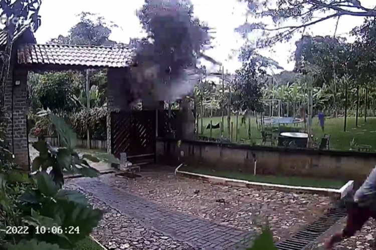 No momento da queda da árvore as duas pessoas presentes escaparam do esmagamento e saíram ilesas