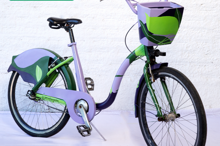 Bicicleta personalizada pela artista visual Concha Arte