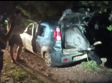 Boi é resgatado de dentro de carro abandonado entre as cidades de Russas e Morada Nova 