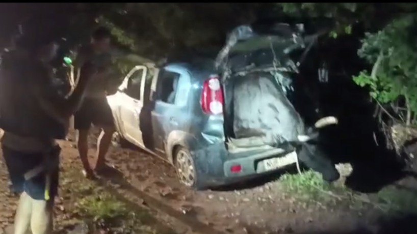 Boi é resgatado de dentro de carro abandonado entre as cidades de Russas e Morada Nova