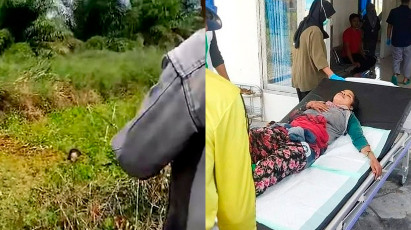 Mulher é resgatada após passar mais de 1 hora em boca de crocodilo na Indonésia
